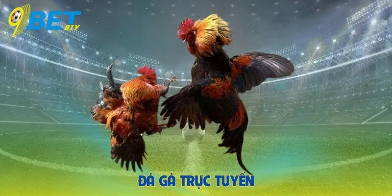 Đá gà trực tuyến